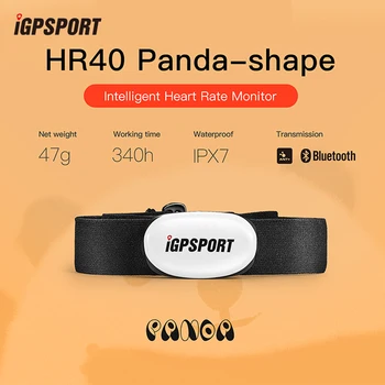 IGPSPORT HR40 Panda-Shapa Inteligentní Srdečního tepu Profesionální Tepu HR Hrudi Nosit Podporu Cyklistické Počítače Mobilní APLIKACE